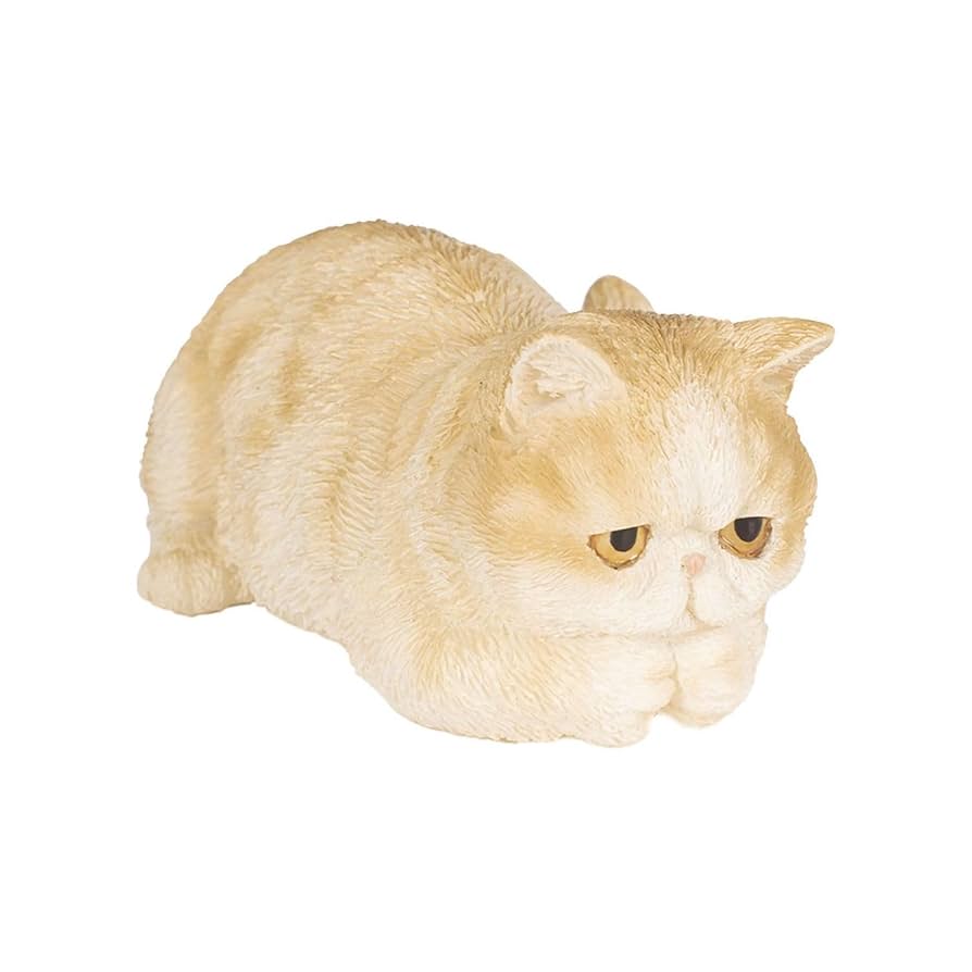 Amazon.co.jp: ウービア いじけるエキゾチックショートヘア