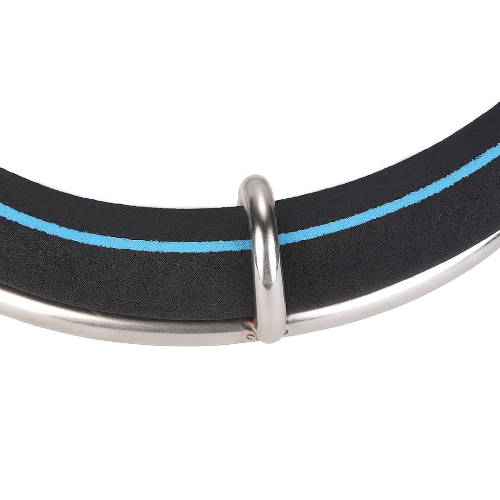 Nano Ausströmer Ring mit 304 Edelstahl Doppelrahmen + 4m PVC Luftschlauch – Aquarium & Teich Luftausströmer für Fischzucht, Sauerstoffzufuhr mit Mikroblasen (Doppel-Ring Ø25cm)