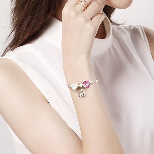 Miniatura 4 de DALARAN Dijes de piedra natal para pulsera Pandora de plata de ley 925, cuentas de corazón, regalo de feliz cumpleaños para mujeres (caja de dijes