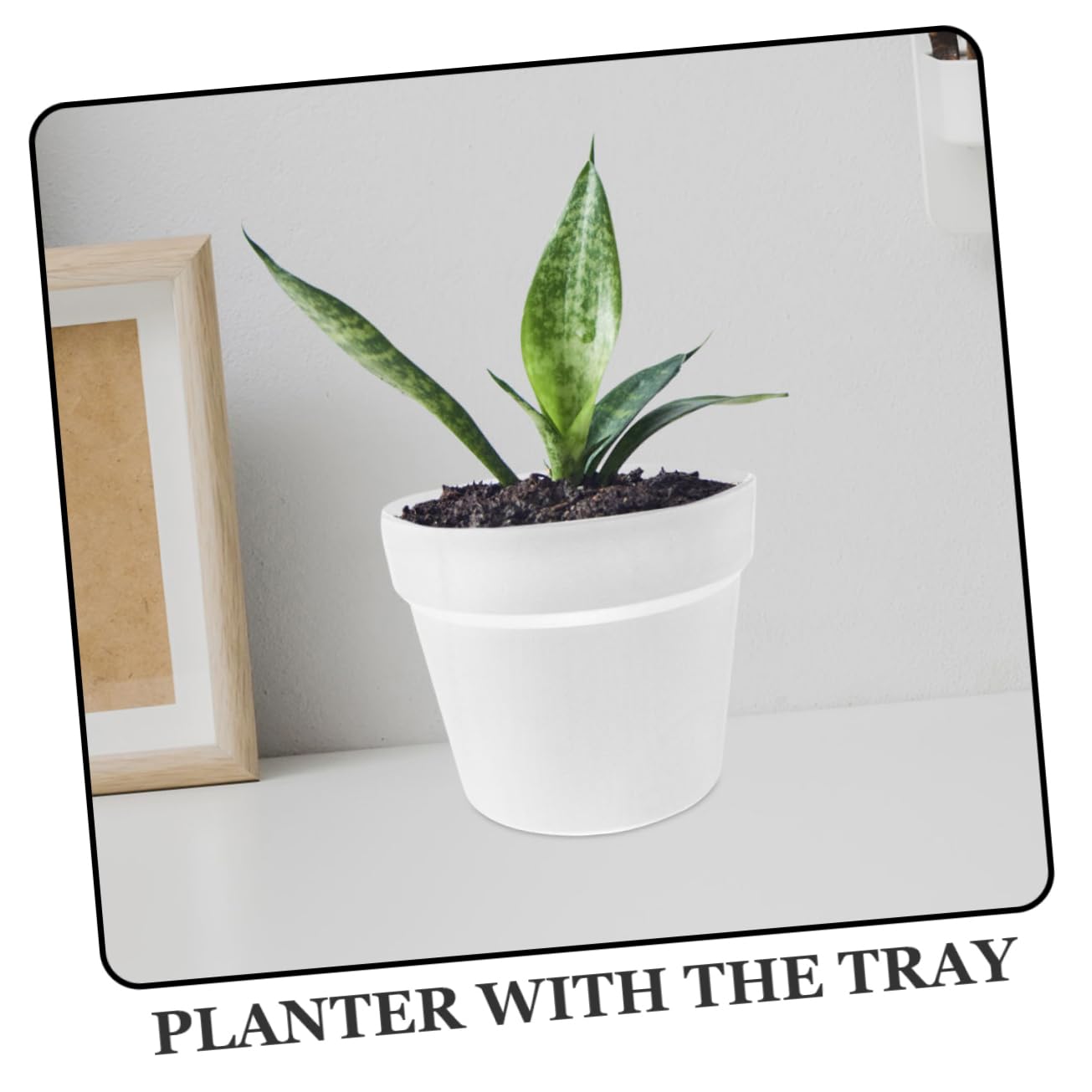 Toyvian 2 Ensembles Pot de Fleurs Plastique avec Soucoupe de Pots Ronds Simples et pour Fleurs et Légumes Utilisation Intérieure et Extérieure