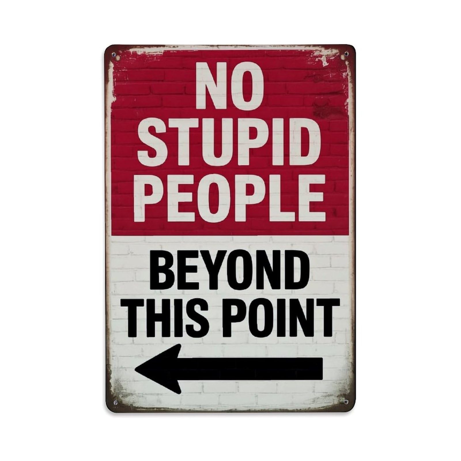 No Stupid People Beyond This Point Retro Metal Tin Sign, Vintage Decor Art Poster for Bar, Home, Man Cave, Kitchen, Laundry Room Gift 8x12Inch
