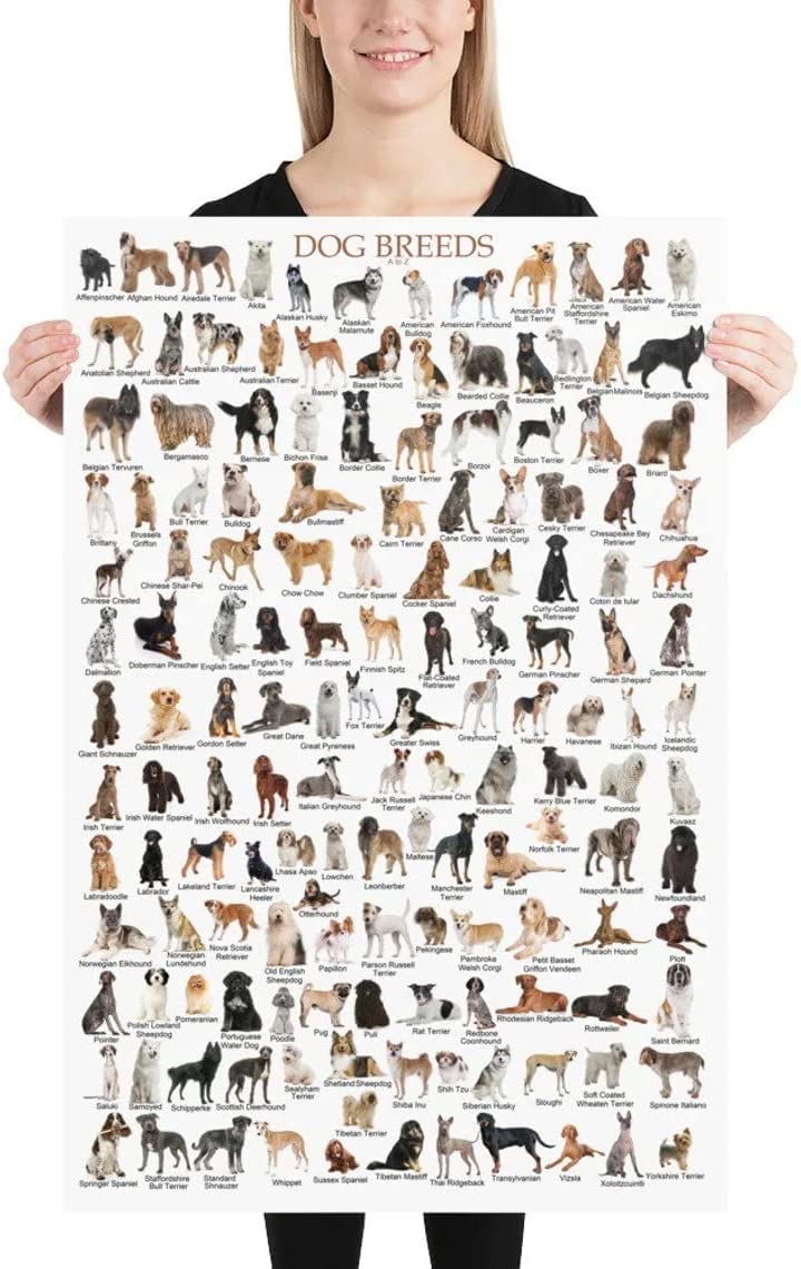 Generic Dog Breeds Poster - 16L" x 24W" - Framed - Watercolor - Color 4 - Printed - Wall Mount - Bathroom, Dormitory, Kitchen, Living Room, Nursery,