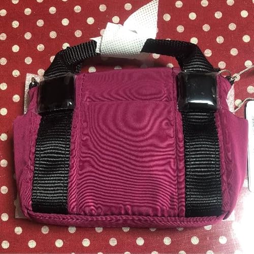 PAPILLONNER psl 80g p[c g[g`[ A