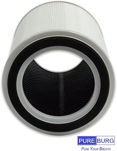 Miniatura 6 de PUREBURG Filtro de repuesto TPAP001 compatible con el purificador de aire TOPPIN Comfy Air C2, paquete de 2 unidades de carbón activado H13 True