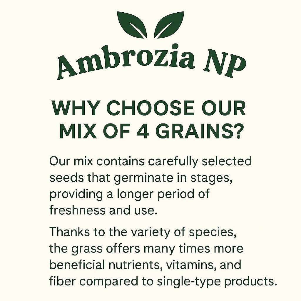 Ambrozia NP Cat Grass Kit x 5pack mix (Wheat, Oat, Rye and Barley), Natural - Image 2