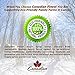 CANADIAN FINEST Maple Syrup | #1 Rated Maple Syrup on Amazon - 100% Pure Certified Organic Maple Syrup from Family Farms in Quebec, Canada - Grade A Dark (Formerly Grade B),16.9 fl oz (500mL)