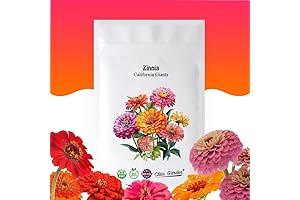 Zinnia Seeds - California Giants Mix