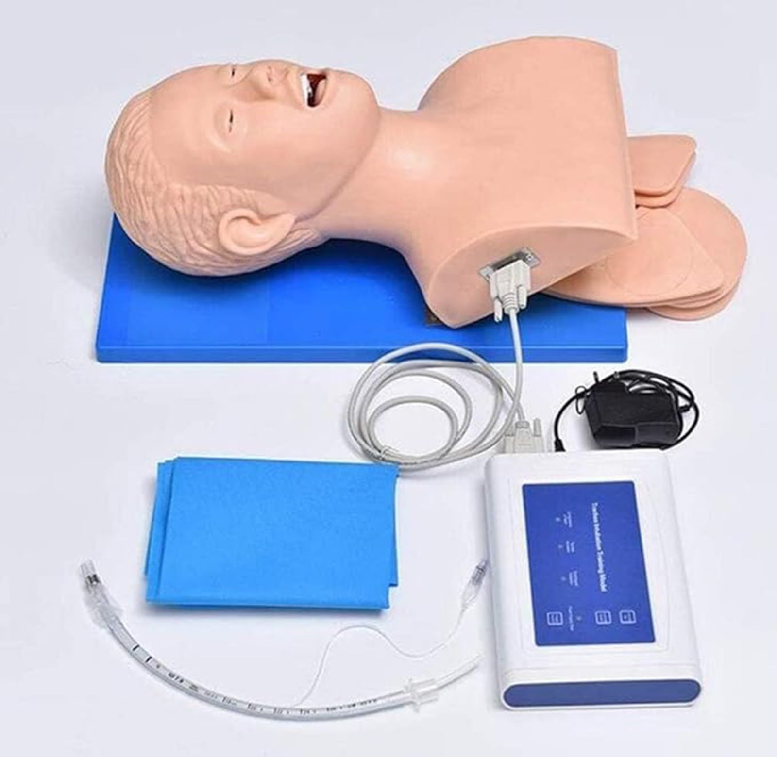 Manichino Adulto Di Addestramento Di Intubazione Manichino Delle Vie Aeree Modello Manichino Di Intubazione Adulto Del PVC, Educazione Del Laboratorio Scientifico A