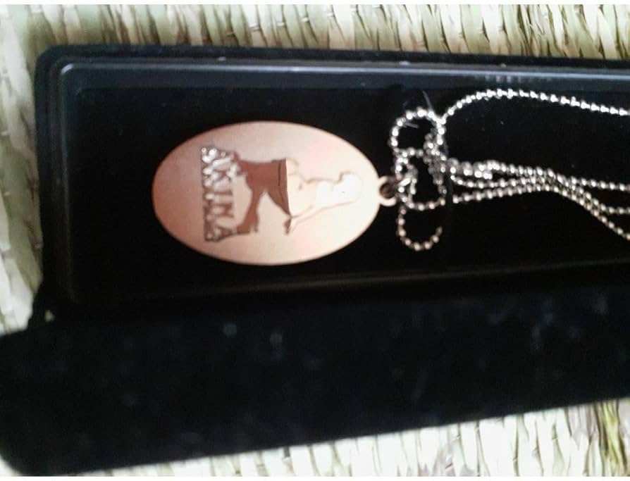 【希少】中森明菜 ファンクラブ限定 シルバー ペンダント トップ ネックレス 希少】中森明菜 ファンクラブ限定 シルバー ペンダント トップ