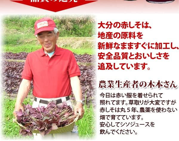 赤しそジュース 加糖 900ml 2~5倍希釈 シソジュース 大分産 無農薬栽培 しそ葉 アグリコ