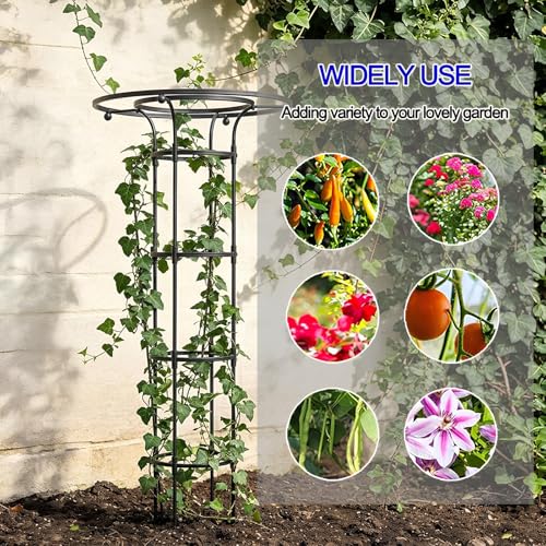 Treillis support plantes grimpantes noir 150cm en métal PE - 5