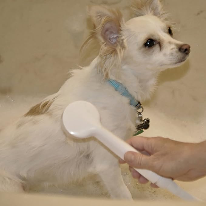 Regadera de Mano Portátil Danco VersaSpray, Blanco miniatura 2