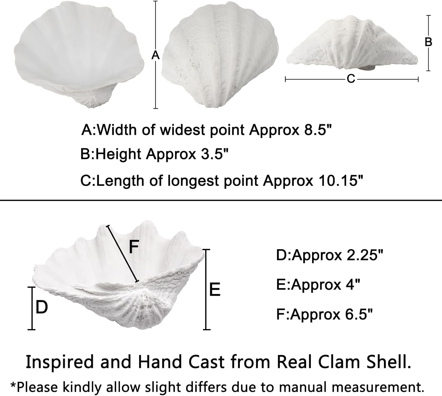 Medium White Scalloped Clam Shell Bowl Sea Shell Decor for Nautical Beach House,Coastal Decor Gift of Housewarming and Wedding Party