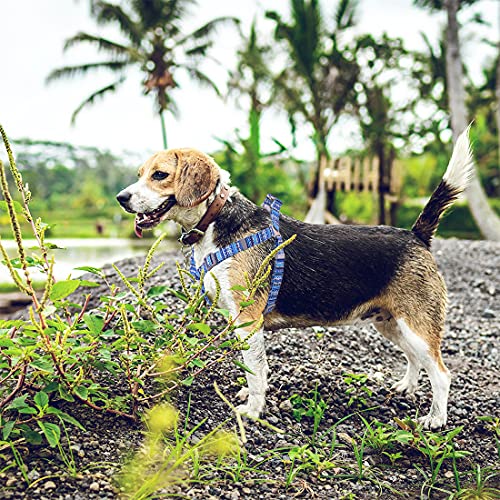 Petsyards Dog Harness And Leash Set, No Pull Step In Basic Halter Harness For Medium, Small Breed Dogs Cats Pixel Blue M #TOP4