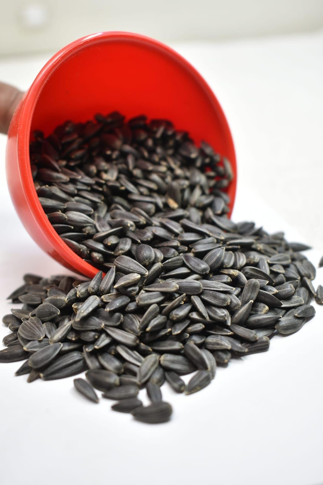 MITU Dry Bird Food Imported Large Size Sunflower Seeds for Grey and Indian Parrot, Macaw, Cockatoo and Exotic Bird, 1 KG (B0D56RZQ5R) Amazon Price History, Amazon Price Tracker
