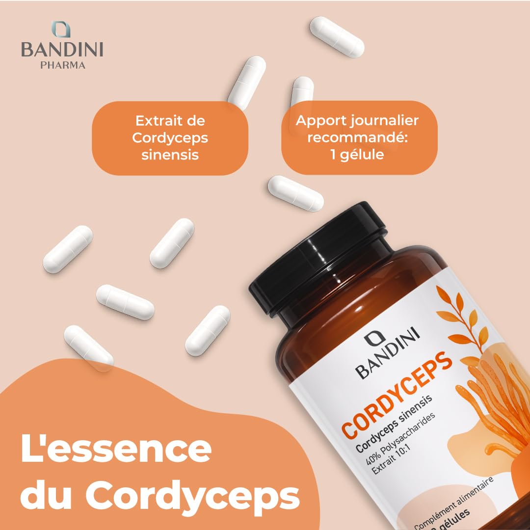 Bandini® Cordyceps Sinensis 6.500mg - 270 Gélules - Extrait de champignon vital CS-4 (10:1) - Énergie & Performance Sportive - 40% de Polysaccharides Bioactifs - Sans Additifs, Vegan - Pour 3 mois