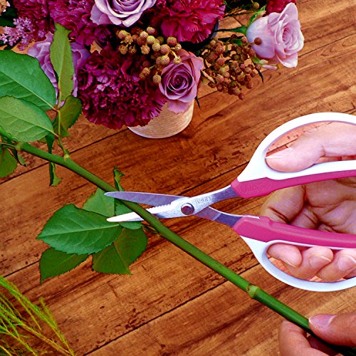 芍薬の切り花を咲かせるコツ 花屋が教える花の管理方法と花選びのポイント 東京 吉祥寺のフラワーセラピーを取り入れたお花屋さん Heartfelt Flowers 花心