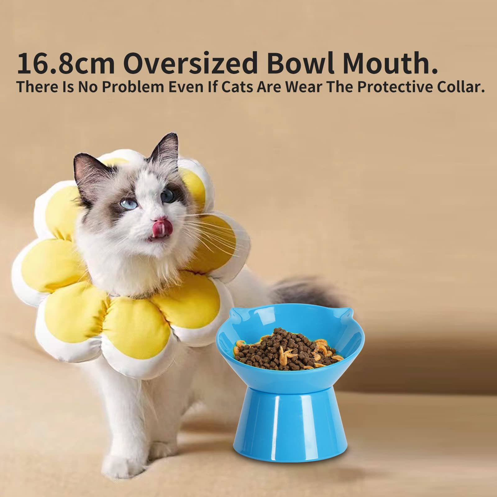 Ciotola Rialzata per Gatti e Cuccioli - Supporto Inclinato di 15° per Cibo e Acqua, Anti-vomito, Blu