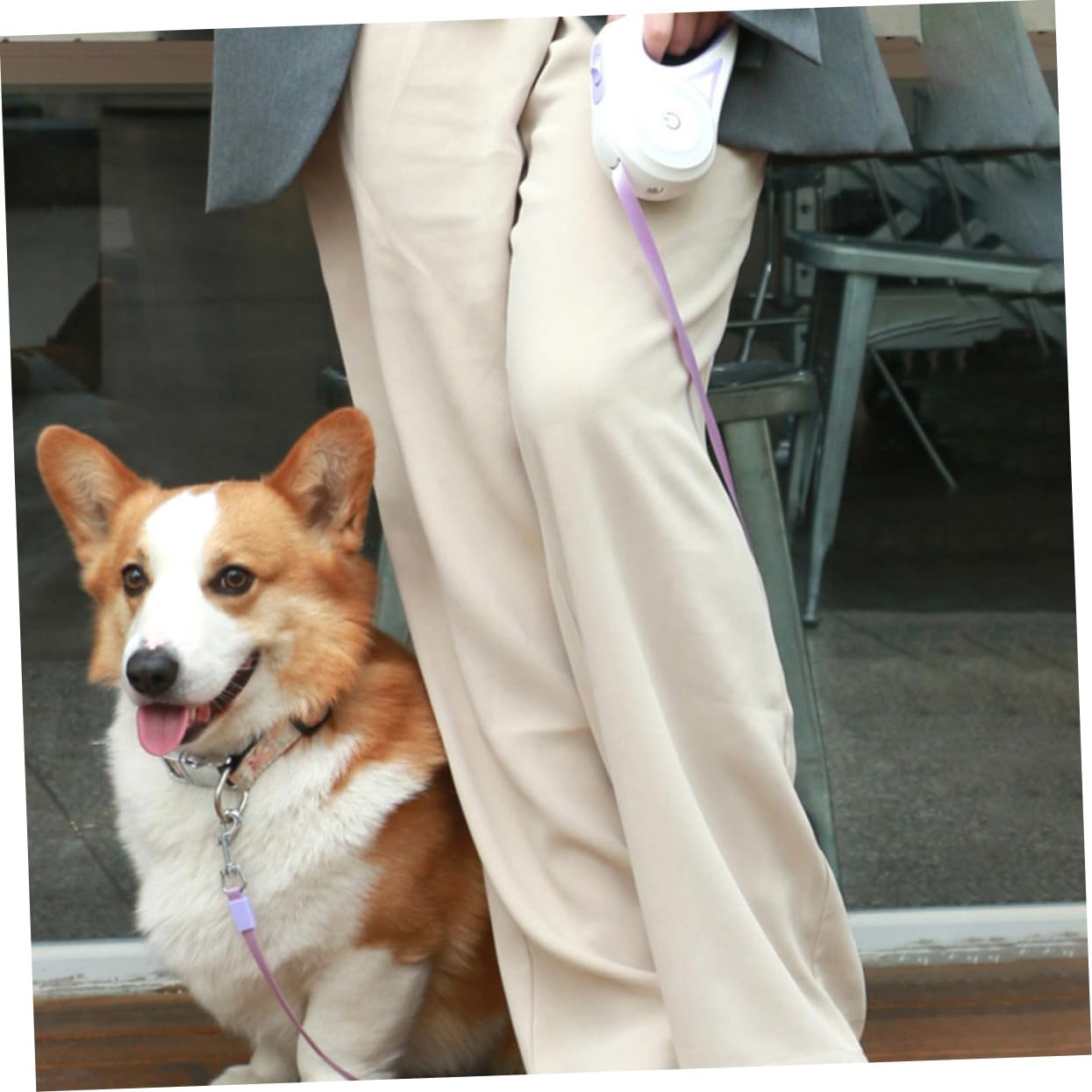 BESPORTBLE guinzaglio per animali domestici addestramento del cane leggero Guinzaglio retrattile riflettente per cani guinzagli allungabili guinzaglio regolabile corda da trazione per cani