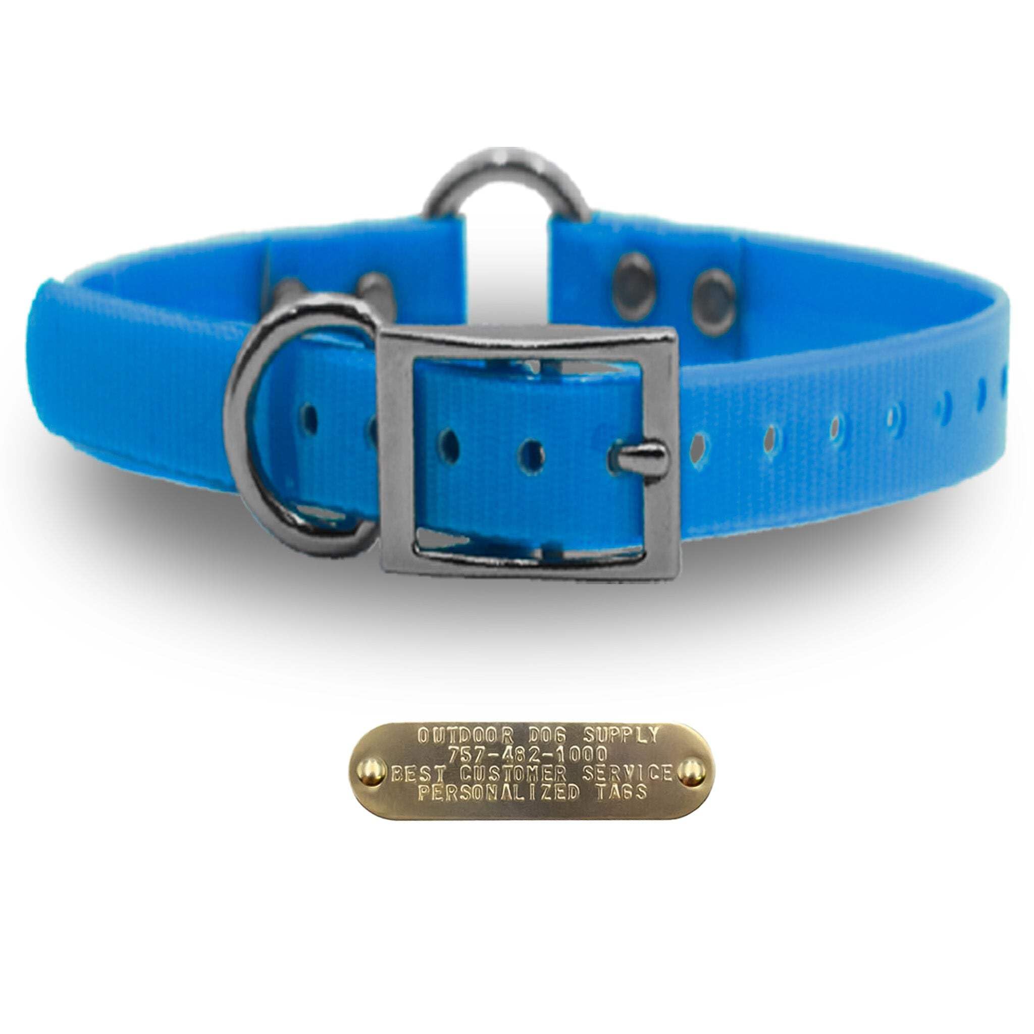 Outdoor Dog Supply 1" Heavy Duty Waterproof D-Ring & Center O-Ring Dog Collar for Medium & Large Dogs | Custom 3/4" Brass Nameplate (Light Blue, 18")