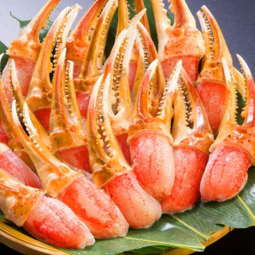 CNIH[ Ⓚ YCKj Jj kނ 1kg (16-20)