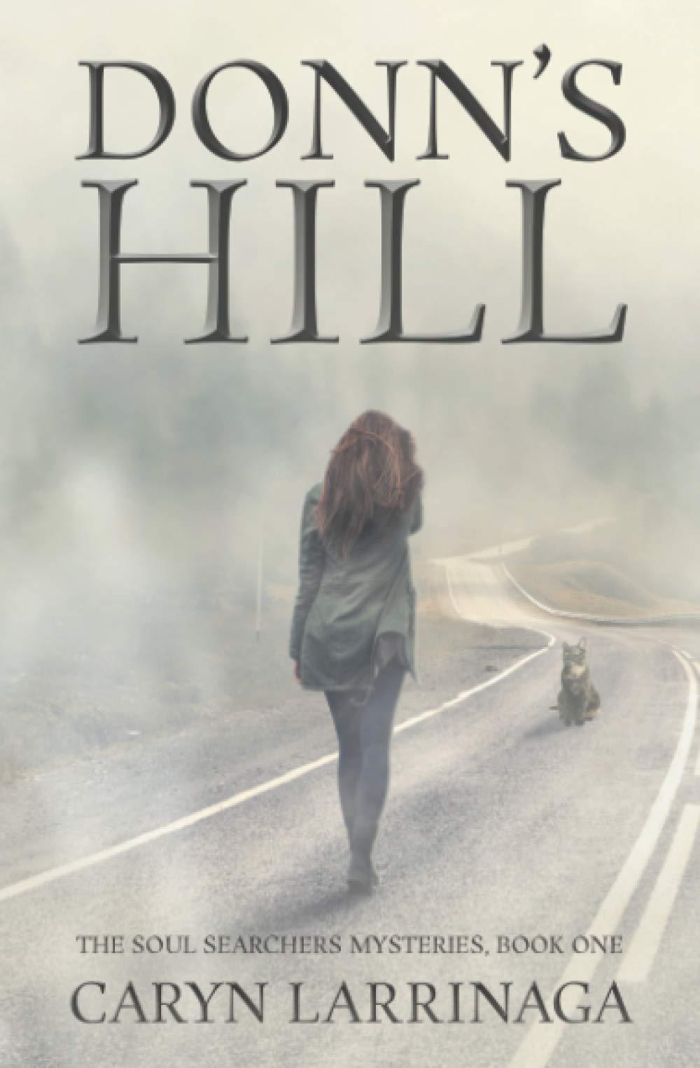 Donn's Hill: 1 (The Soul Searchers Mysteries)