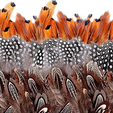 Camelize Brown Feathers, 350pcs Natural Speckled Feathers for DIY Dream Catcher Crafts, costumes, hats, handicrafts, home decor, Halloween, DIY decoration (Length 2-3.2") Cover