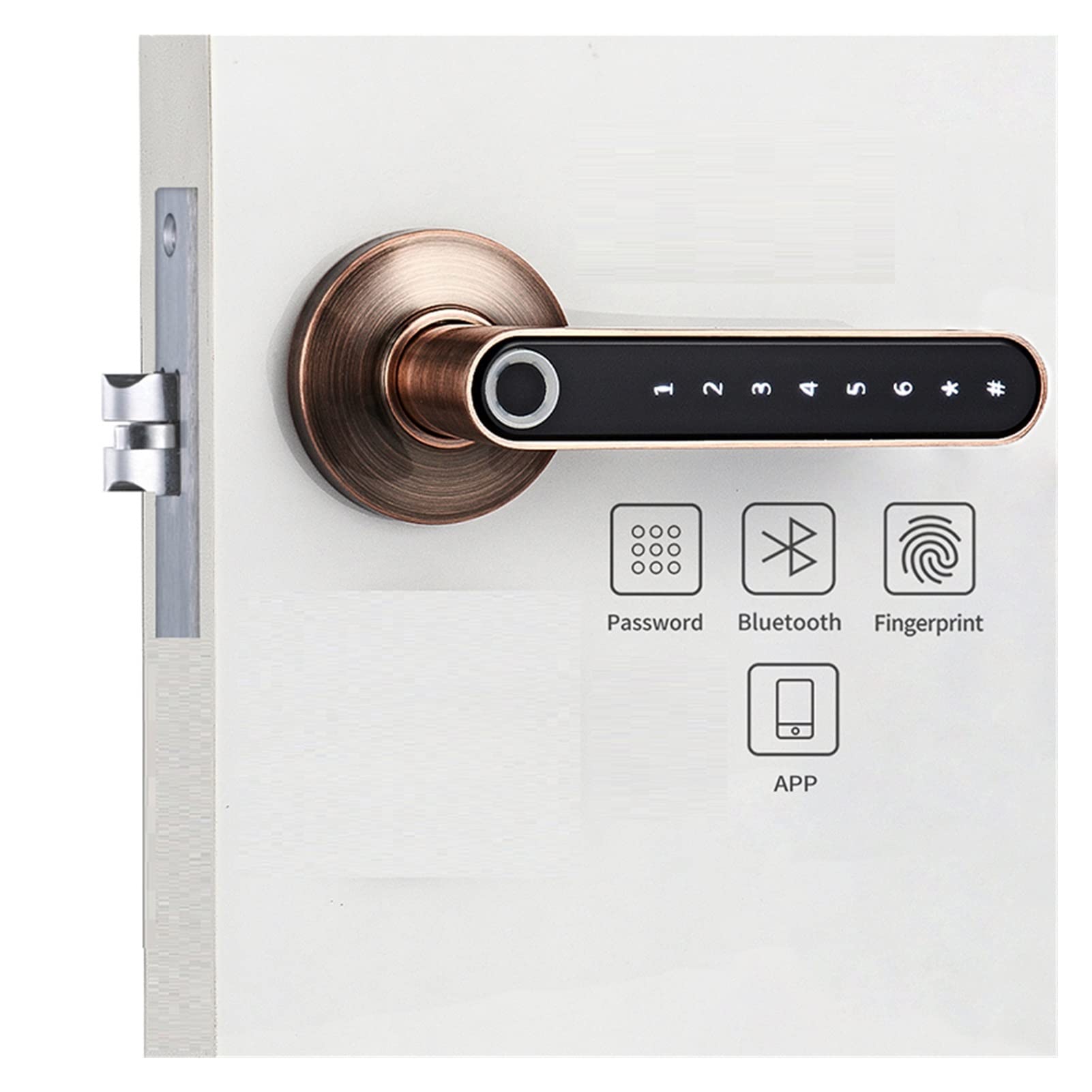 Smart Biometric Fingerprint Door Lock Code Telefono App Bluetooth One Time Codice Dynamic Code Dinamico Sblocca Log della porta della porta in legno(Kit3)