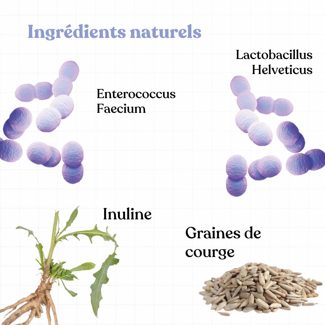 BAU Probiotiques pour Chien, Ferments Lactiques Canins, Soutien Gastro-Intestinal, Équilibre de la Flore Intestinale avec Ingrédients Naturels – 60 Comprimés