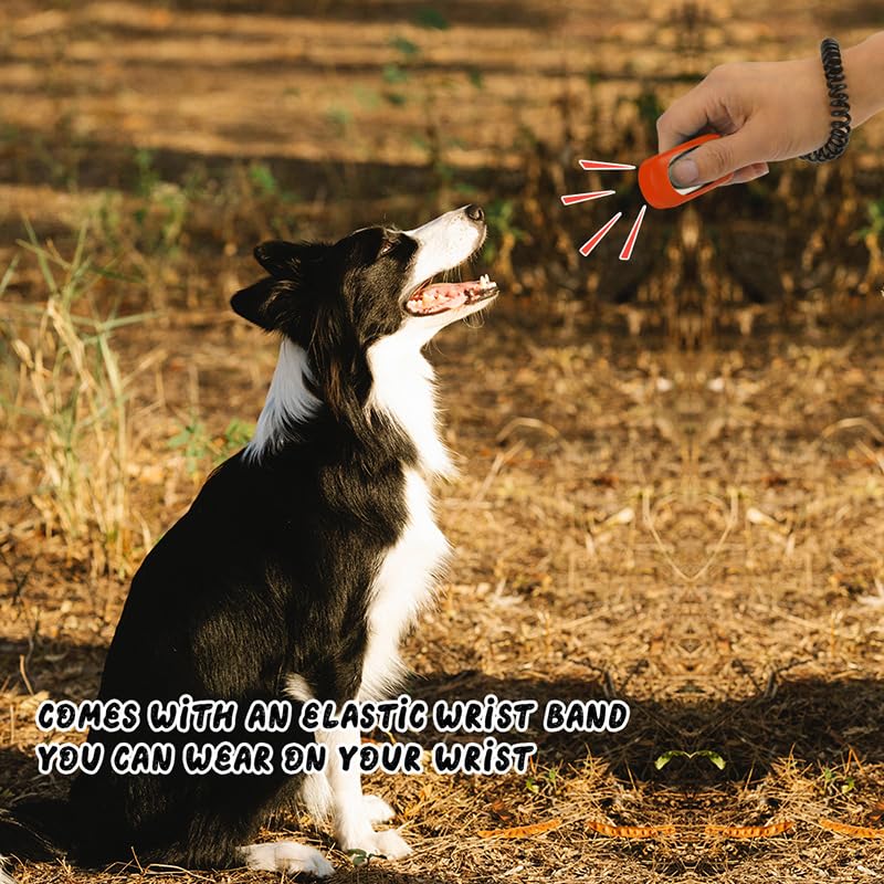 Clicker pour chien, 5, durable, portable, outil d'entraînement interactif avec bout des doigts, clicker d'entraînement avec extension, convient également pour les chats et les chevaux