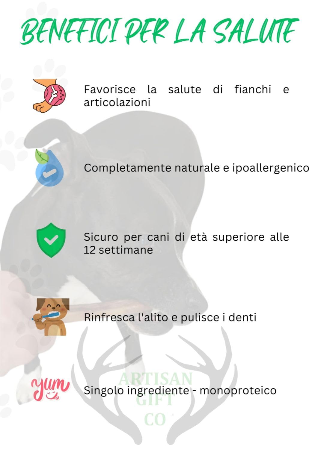 Nervo di Bue per Cani, 2 un. (60 g, Nervi di bue 15cm.) | Masticativi naturali a lunga durata