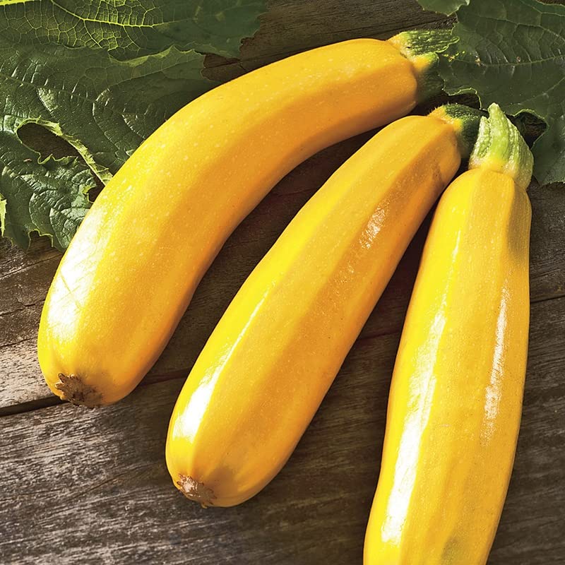See full amazon price history chart for M-Tech Gardens Rare Hybrid Zucchini " Golden Dawn " Exotic 10 Vegetable Seeds for Growing M-Tech Gardens Rare Hybrid Zucchini " Golden Dawn " Exotic 10 Vegetable Seeds for Growing (B0BQCK6NHY) Amazon Price History, Amazon Price Tracker