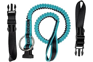 Notch Modular Chainsaw Lanyard for Unparalleled Tree Climbing Safety