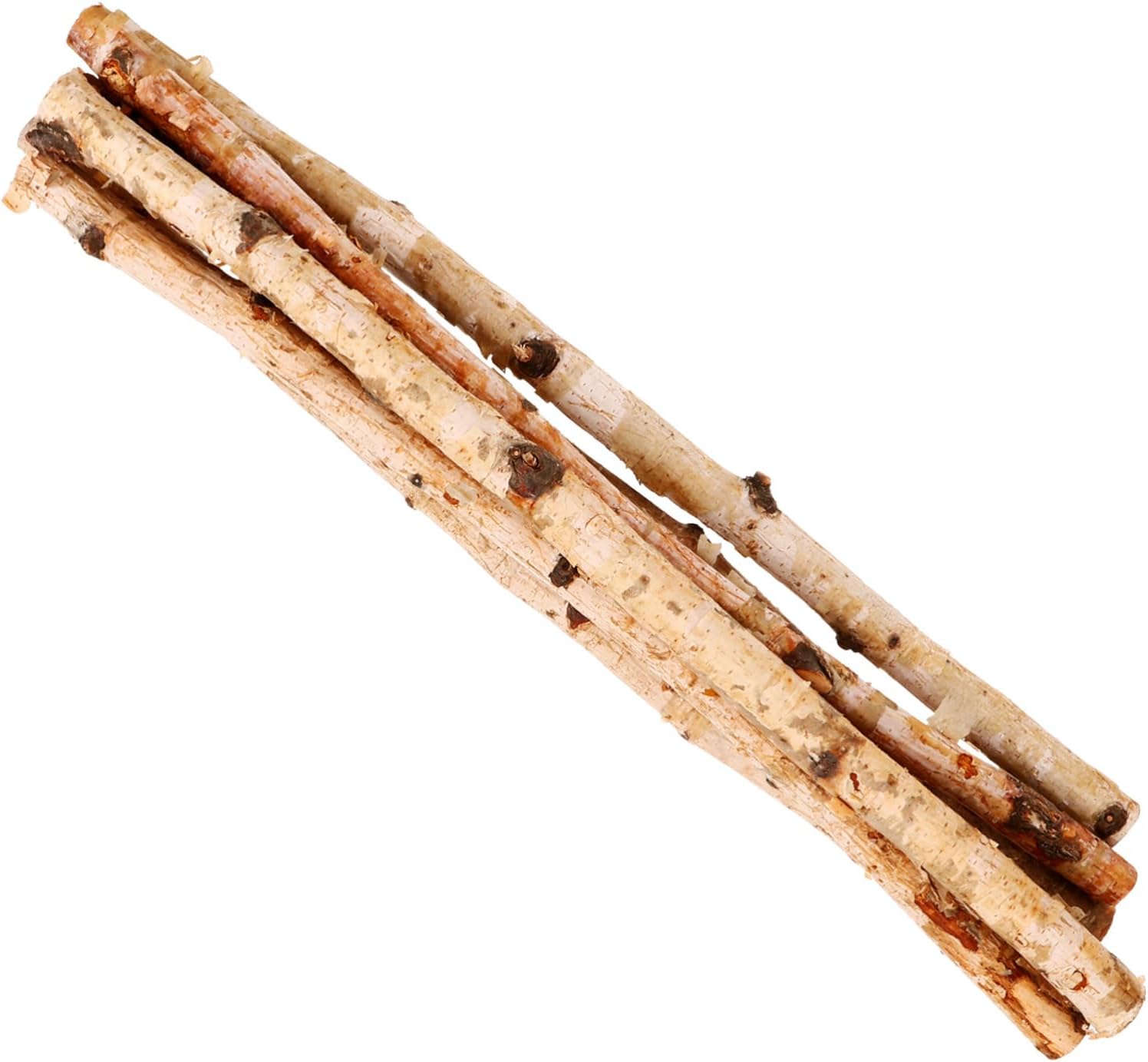 HOODANCOS Birch Logs for Craft 6 Pack Natural Wood Sticks Dry Decorative Sticks for DIY Projects