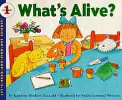 新品Let's read and find out science 44冊 購入に至った英語の絵本、Let's Read And Find Out Science