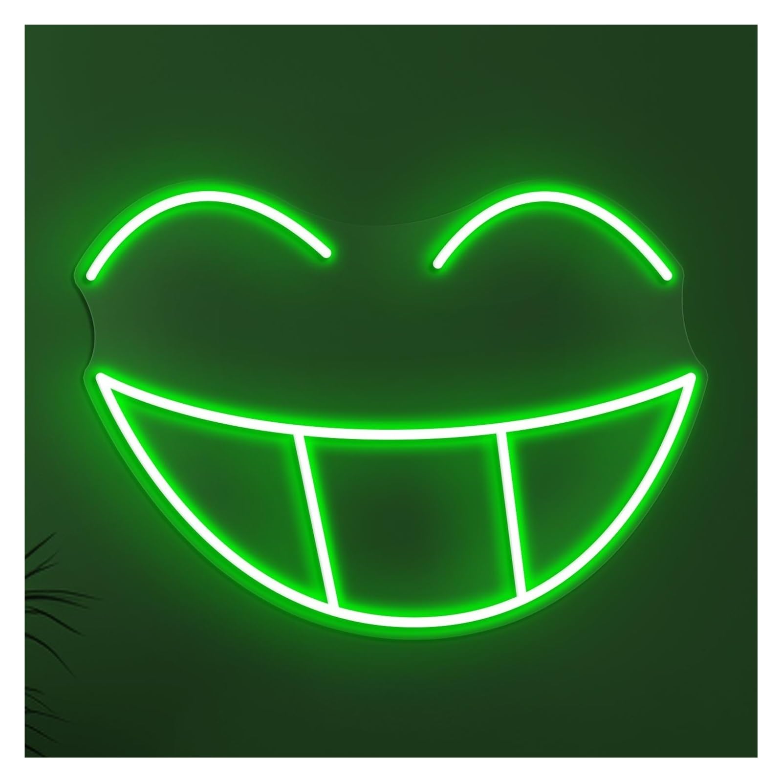 Hanging Art Neon Signs Smiley Face Neon Sign, Suitable For Kids Room Decor With Brightness Adjustable 11.81x8.74in/30x22.2cm(Green)