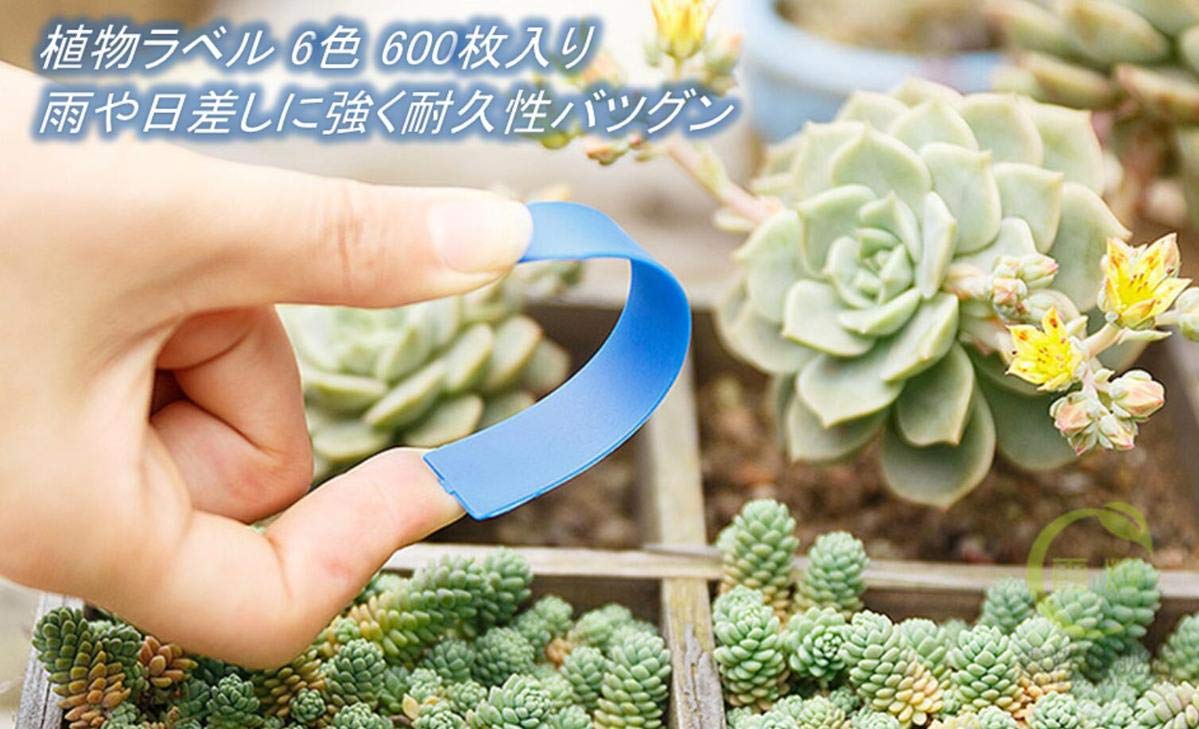 Amazon.co.jp: 園芸用 立型 ラベル 6色 大量600枚入り (赤 黄 青 緑 白