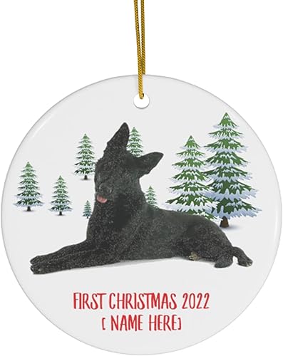 Adorno personalizado para árbol de Navidad, Año Nuevo, decoración de Año Nuevo, círculo de invierno, cerámica, para el primer año 2023