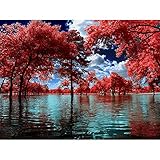 YINGXIN134