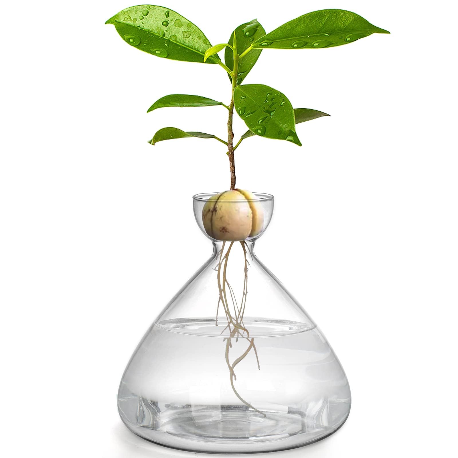 【アボカド】火鉢 アボカド様専用】火鉢