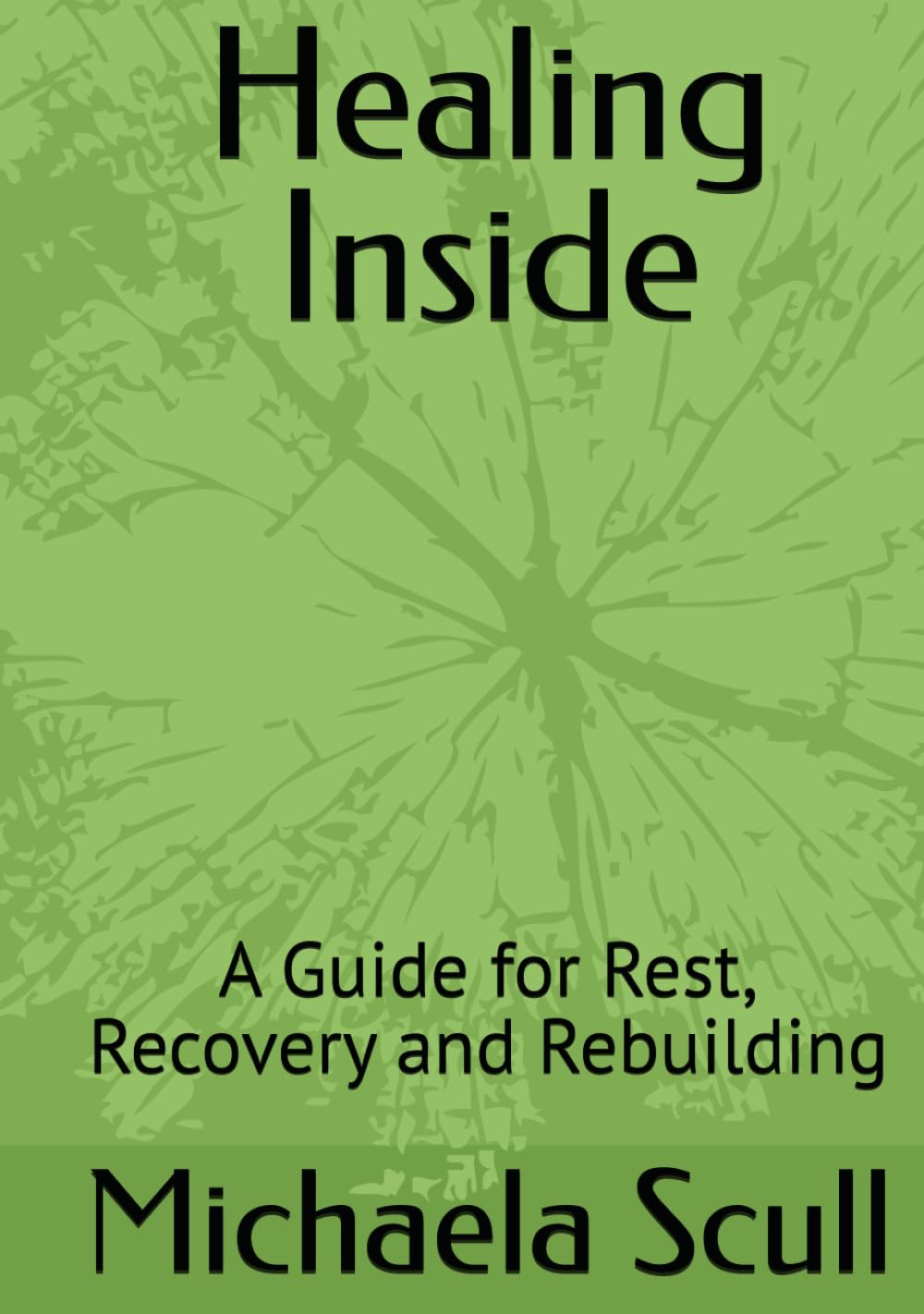 Healing Inside: A Guide for Rest, Recovery and Rebuilding