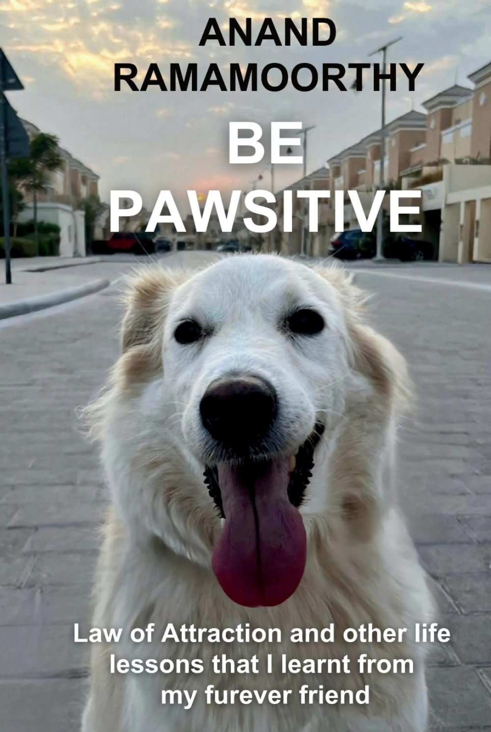 Be Pawsitive: Law of Attraction and other life lessons that I learnt from my furever friend