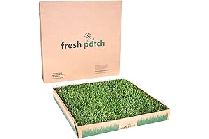 Fresh Patch Large - Real Grass Pee and Potty Training Pad for Dogs