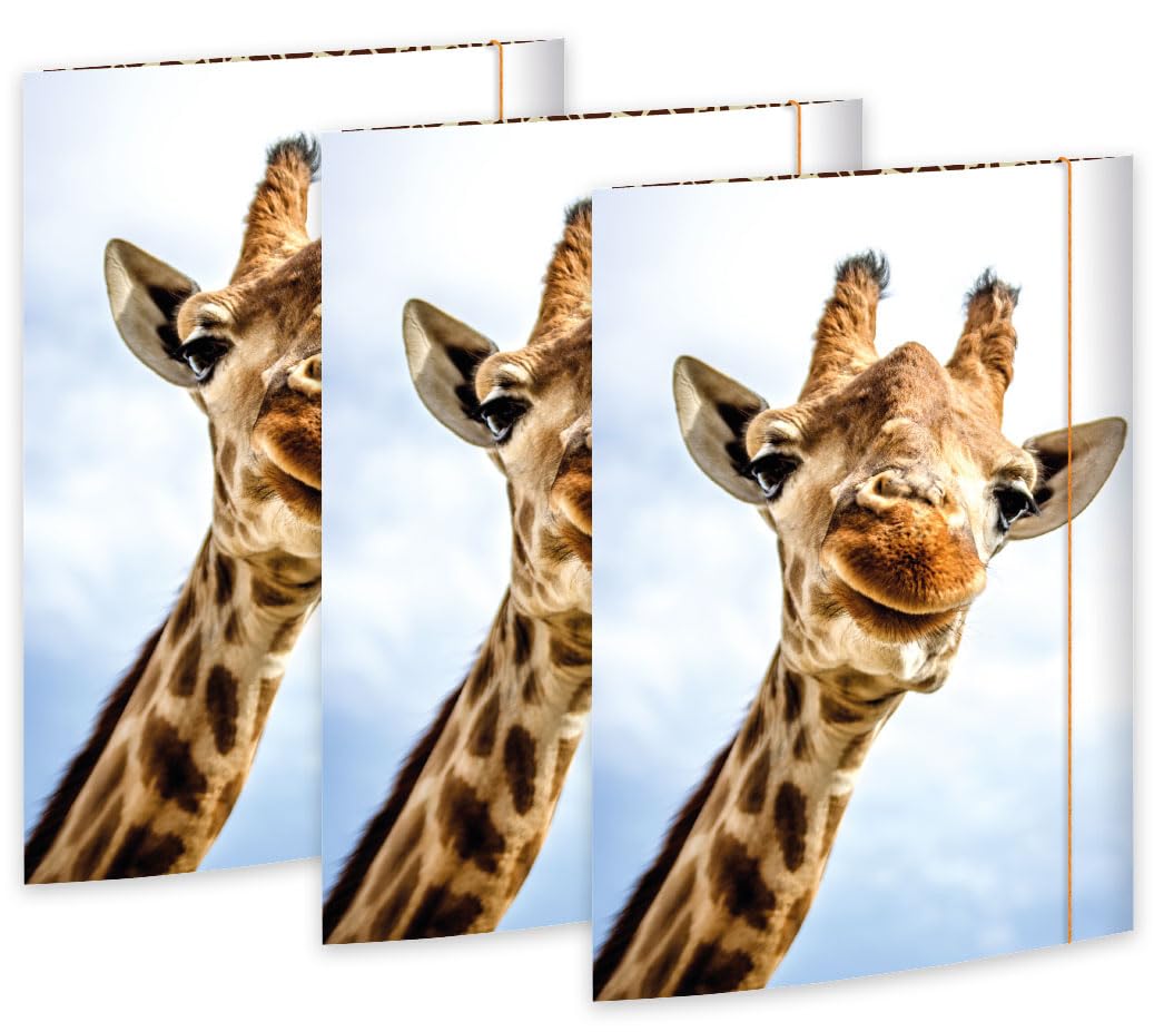RNK Safari 45359-3 Drawing Folder 310 x 440 mm Pack of 3 DIN A3 with Elastic Closure