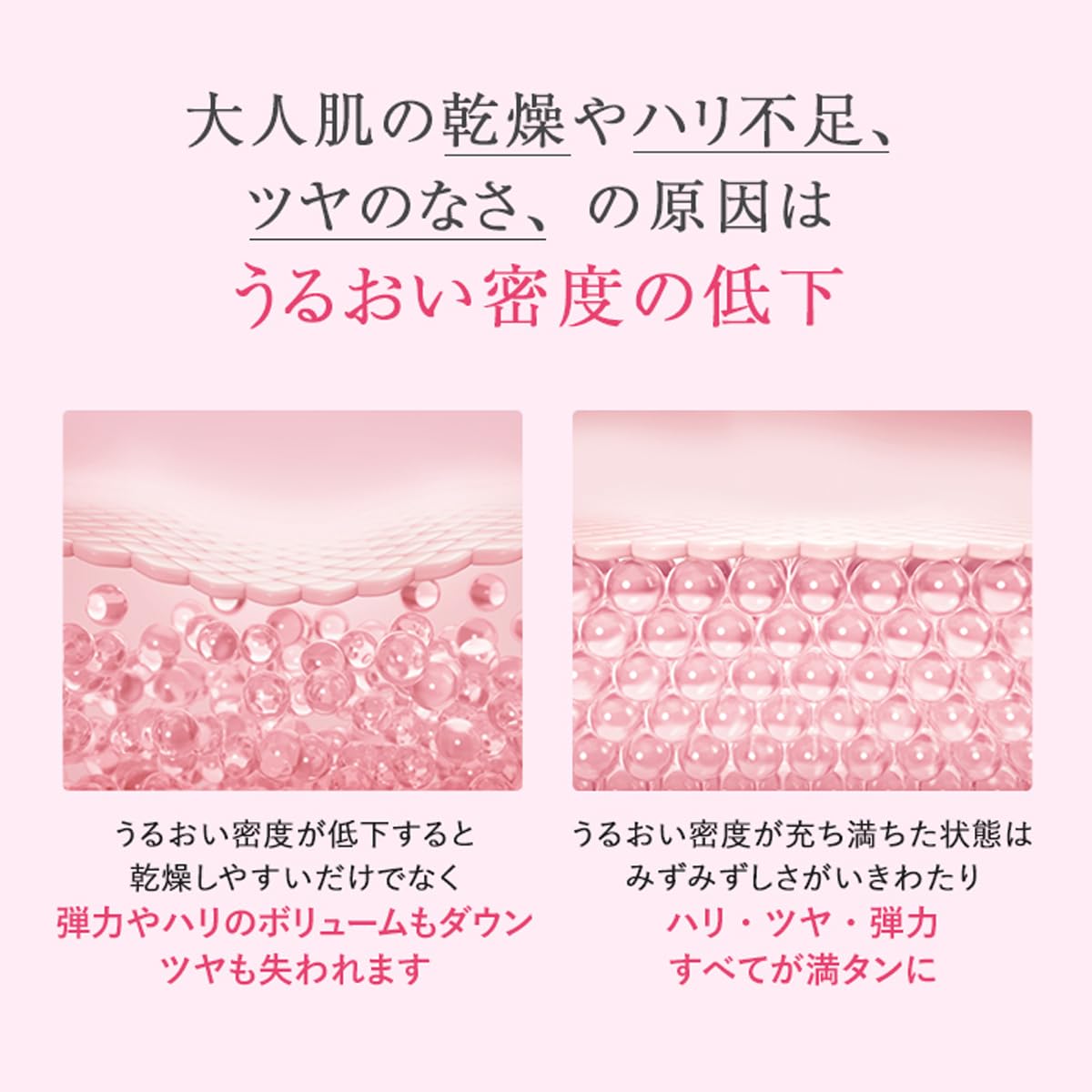 Amazon.co.jp: Attenir Primer Shot Refill, Includes Exclusive Case