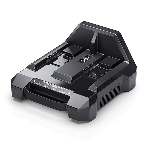 Miniatura 1 de HVRPWR Cargador de doble bahía de 40 V, CH07250, negro