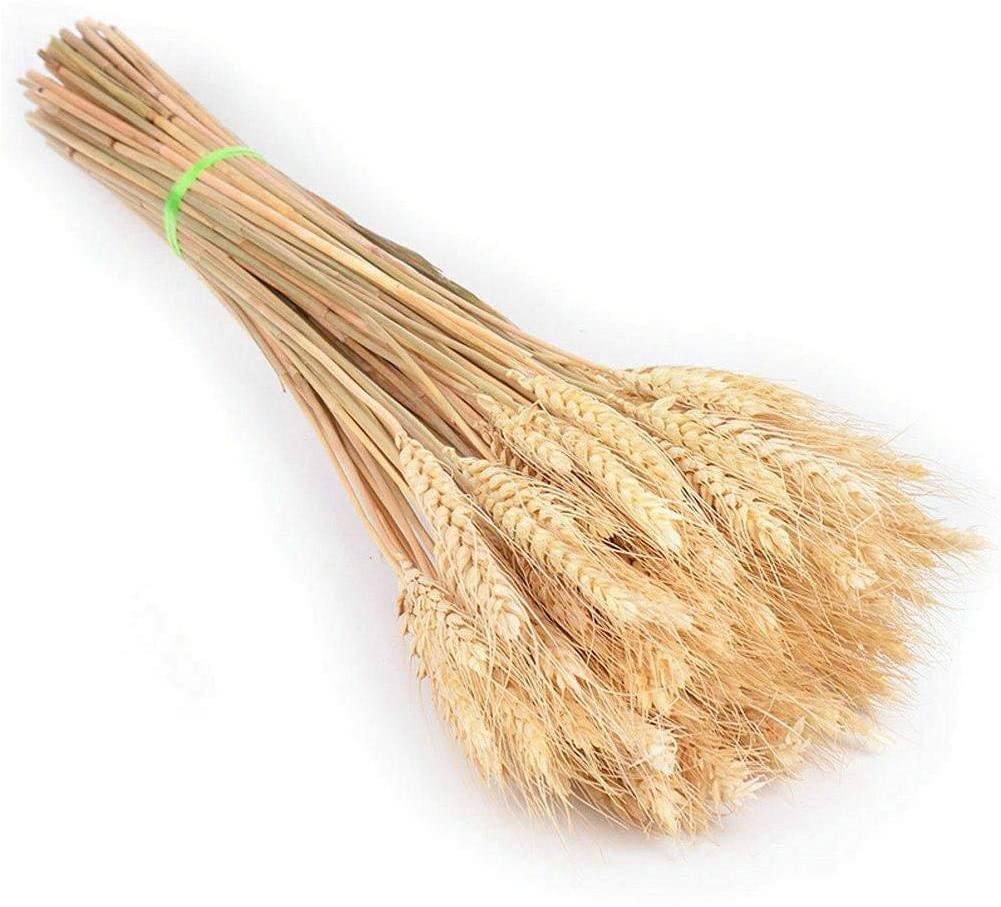 25Pcs/Lot Dried Stems Wheat Artificial Wheat Stalks Natural Wheat Ear Dried Flowers Wedding Flowers Arrangement Autumn Home Dining Table Decoration