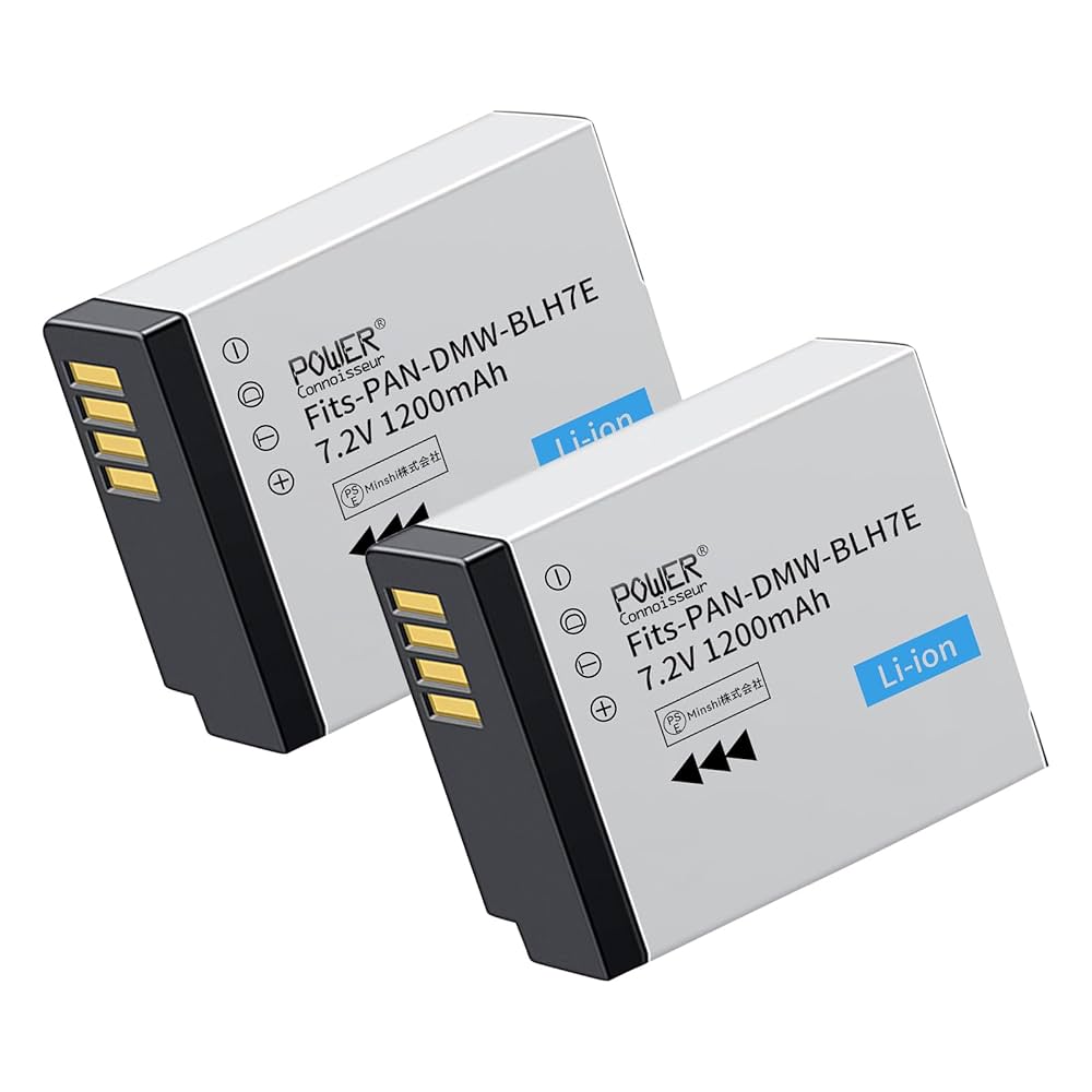 LUMIX GM1 本体 panasonic 電池2 【公式通販】