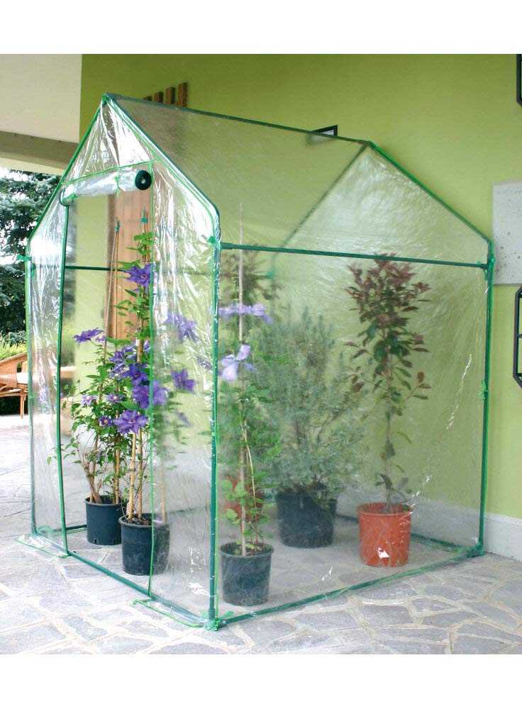 Verdemax Clematis Serra 155 x 155 x h 205