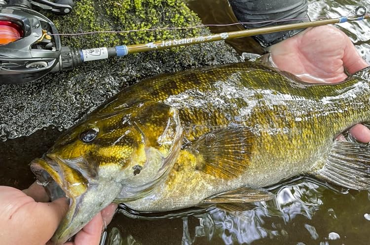 Amazon.co.jp: 冒険用品 ジェットセッター JetSetter 500C シンクロ